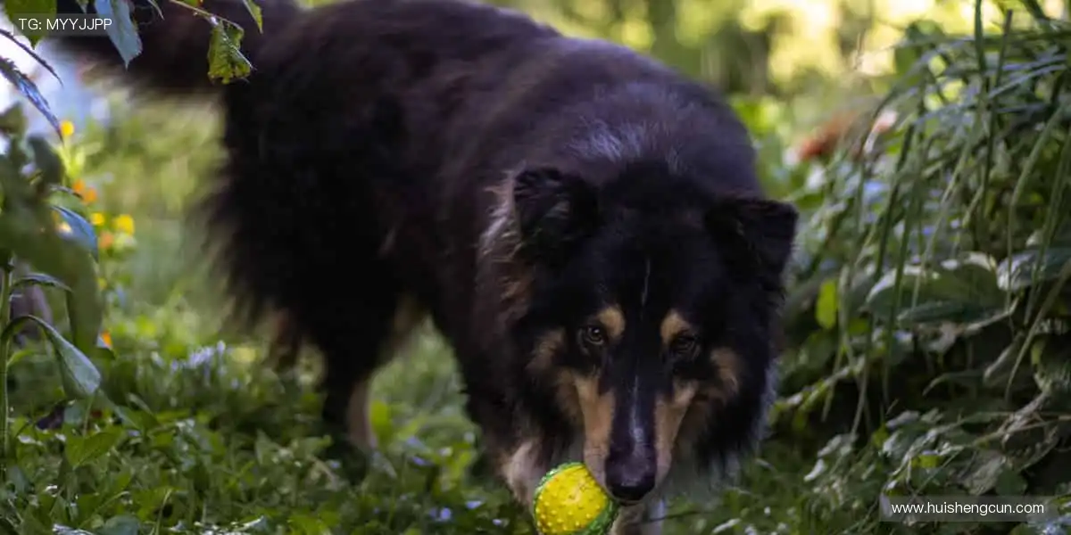 🎯周边好物，球迷必备！🎲